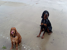 Ole und Teo am Strand
